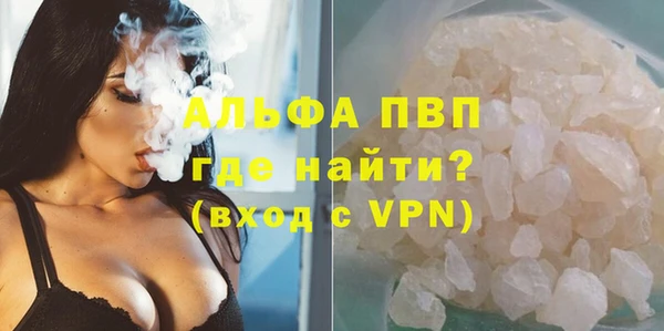 прущие грибы Кукмор
