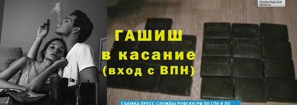 прущие грибы Кукмор