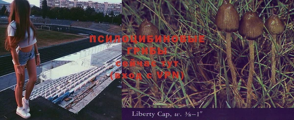 прущая мука Аша
