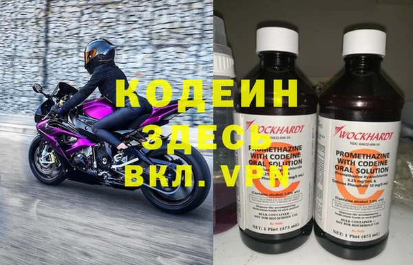 прущие грибы Кукмор
