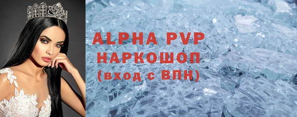 прущие грибы Кукмор