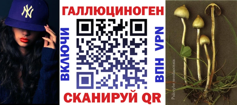 MEGA   Лесозаводск  Псилоцибиновые грибы Psilocybe  купить наркотик 